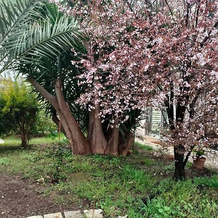 Апартаменти Giardino A Mare Барі Екстер'єр фото