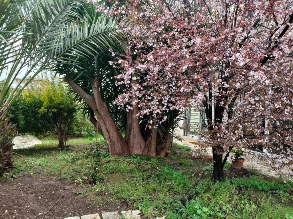 Апартаменти Giardino A Mare Барі Екстер'єр фото